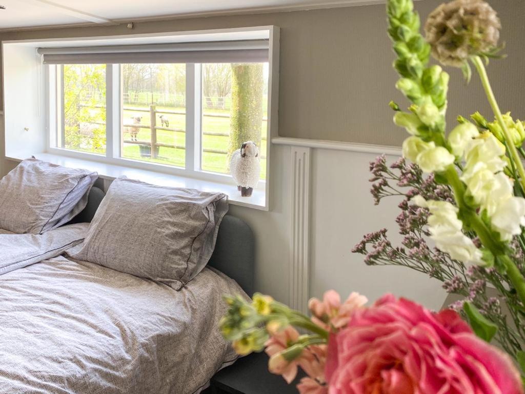 4Seasonshouse Villa Losser Kültér fotó