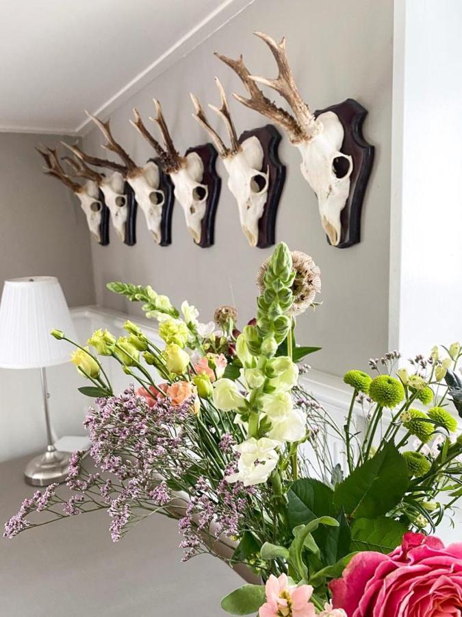 4Seasonshouse Villa Losser Kültér fotó