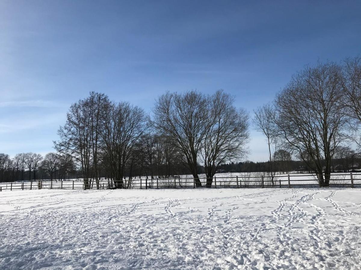 4Seasonshouse Villa Losser Kültér fotó