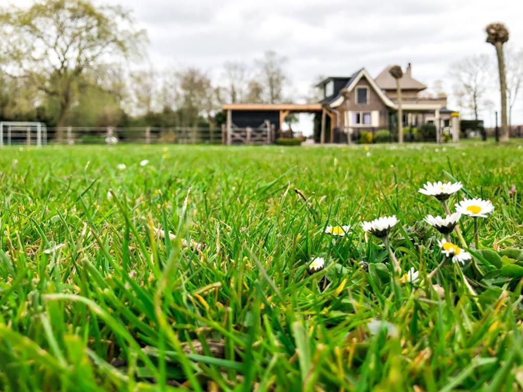 4Seasonshouse Villa Losser Kültér fotó